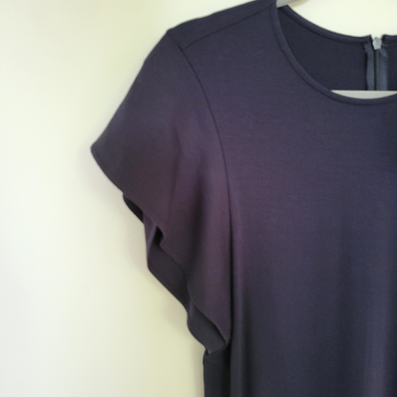 Felicity & Coco Dress Navy Blue Ruffle Flounce Flutter Sleeves XS Mini Shift - Picture 6 of 8